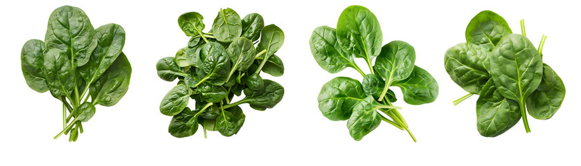 fresh spinach isolated on a transparent PNG background, white background , cut out, clipping path, Generative Ai