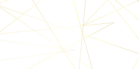 Abstract lines in golden lines and white background design .Digital future technology concept.  white round lines abstract futuristic tech background. geometric and vector design 
