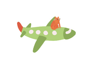 Cat sitting on the plane