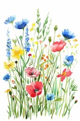 Vivid summer meadow with wildflowers, watercolor clipart on white background --ar 2:3 Job ID: 228c8ba9-98b1-450b-838b-e4c241401b3d
