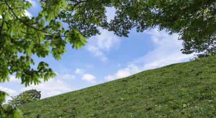 春・夏　煽りで見上げた丘・土手の野原の坂道　さわやかな晴天の青空と雲の背景壁紙 　アウトドア・夏休み・祝日・行楽・観光・旅行・ゴールデンウィーク・ウォーキング・散歩のイメージ素材