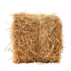 A dried hay or fodder texture isolated on transparent background