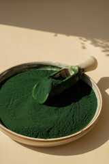 Organic blue-green algae spirulina powder food in plate with wooden spoon. Copy space for your text...
