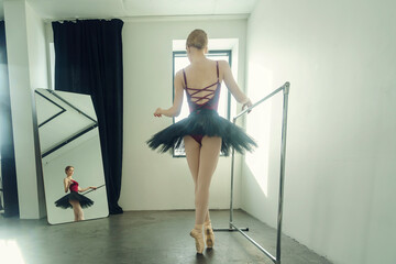 young ballerina in a tutu and pointe shoes standing at the ballet bar poses ballet elements in a...