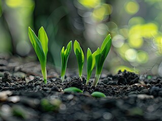 New Growth - Growth - Verdant Revival - Fresh green shoots and buds emerging from the earth, symbolizing the rejuvenation and vitality of the spring season