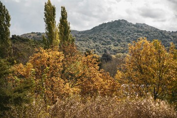 landscape of Cordoba Argentina in autumn trees, river, mountains, ideal tourism promotion