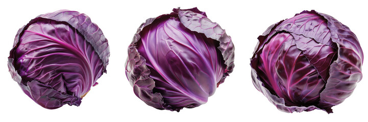 Purple cabbage isolated on white background.