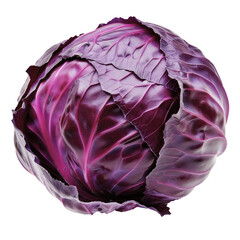 Purple cabbage isolated on white background.