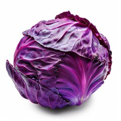 Obraz premium Purple cabbage isolated on white background.