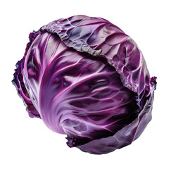 Purple cabbage isolated on white background.