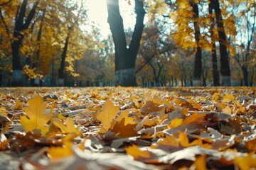 Organic Harmony: Capturing the Beauty of Leaves Intertwined with a Rock Up Close.