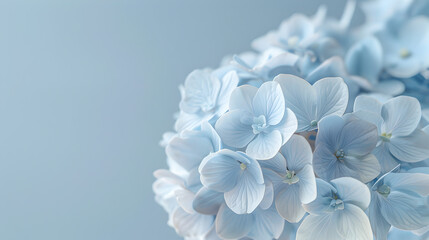 A close up of a bunch of blue flowers. The flowers are arranged in a way that they are almost touching each other. The blue color of the flowers gives a sense of calmness and serenity