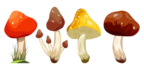 Set of raw forest edible and poisonous mushrooms. Assortment of poster and banner designs for gourmets, diets, cooking. Wild mushrooms. Bright vector isolated icons.

