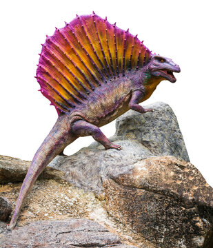 Edaphosaurus stand on the stone, Edaphosaurus is a herbivore genus of Edaphosaurid Synapsid that lived in the Permian periods