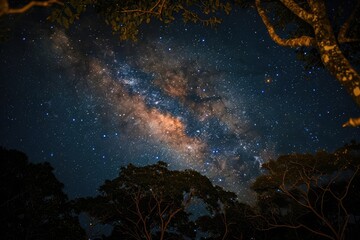 Scenic view of milky way over trees at night