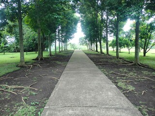 path in the park