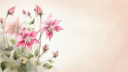 Watercolor clip art of Aquilegia, Columbine flowers, pink color, artistic floral composition on watercolor wash background. Lots of copy space