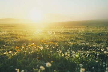Serene Meadow at Sunrise: Pristine Landscape with Dewy Wildflowers and Soft Mist