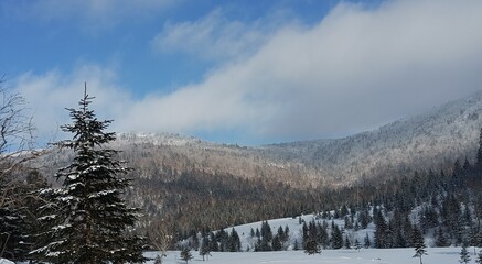 winter landscape in the mountains