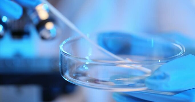 Using a sterile swab to collect a bacterial sample