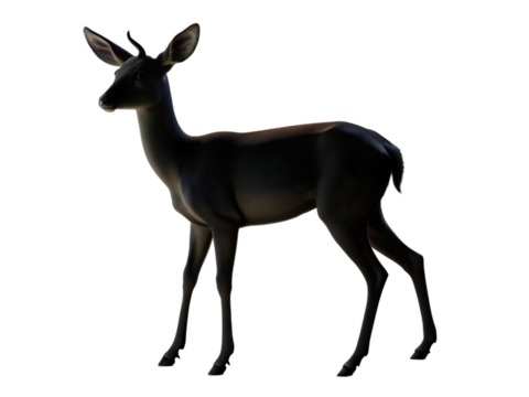 Silhouette of a deer