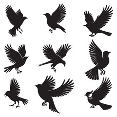 Bird's black silhouettes set. bird isolated on white background