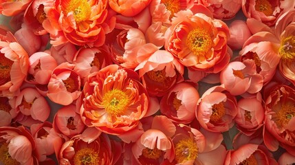 Indulge in the delightful texture of stunning coral red Peony blooms A vibrant bouquet of blossoming peonies awaits to brighten your birthday celebration set against a charming backdrop of  - obrazy, fototapety, plakaty