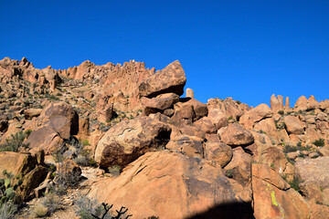 Hillside with soil and vegetation in sunlight, Big Bend National Park