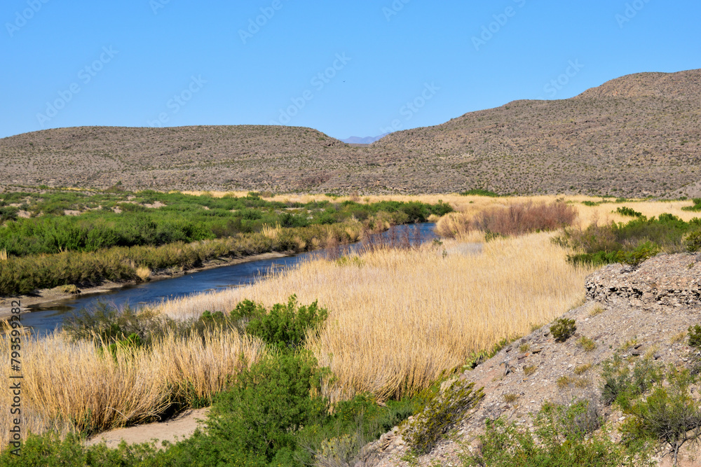 Poster Hillside with soil and vegetation in sunlight, Big Bend National Park