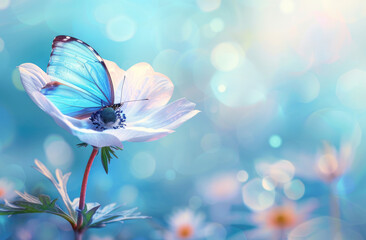 Beautiful flower with butterfly on pastel background, spring nature, green meadow. Soft focus, concept of empty space