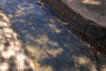 flowing water and yellow and orange leaves
