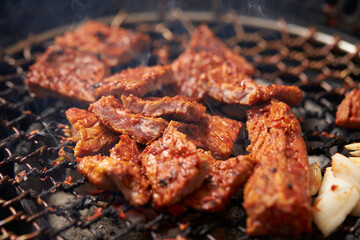 grilled meat on the grill