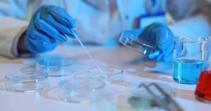 Scientist studying bacteria or viruses in a petri dish in a laboratory