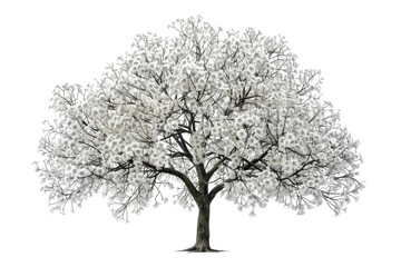 Tree With White Leaves Drawing