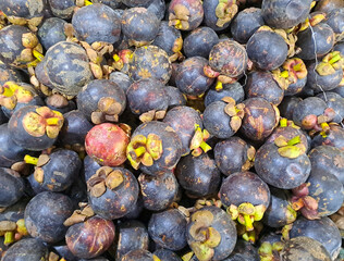 Mangosteen fruit	
