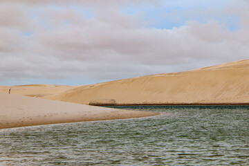 desert and oasis