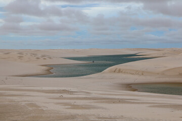 desert and oasis