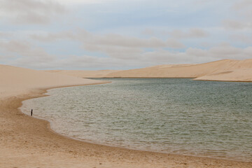 desert and oasis