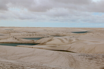 desert and oasis