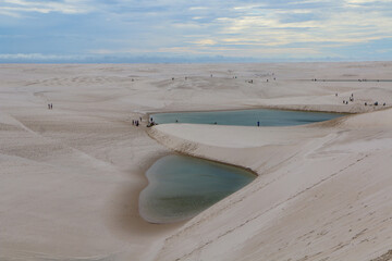 desert and oasis