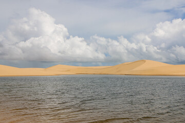 desert and oasis