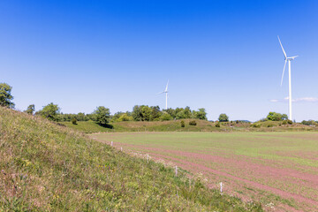 Meadow on a hillside by a green field in the countryside and wind turbines - 793611672