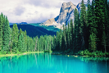 Beautiful mountain lake in a coniferous forest - 793611847