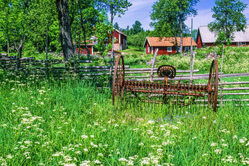 Old rusty hay tedder in a flowering meadow in the swedish countryside - 793612081