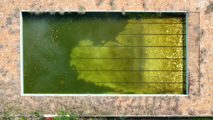 abandoned swimming pool with green dirty water