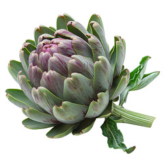 Obraz premium A close-up view of a fresh artichoke isolated against a transparent background