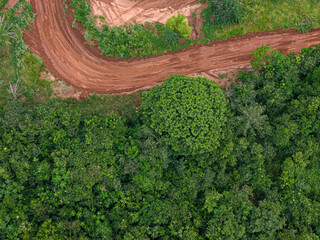 top view of forest and dirt road