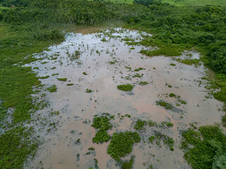 Small Swamp in Itaja Goias