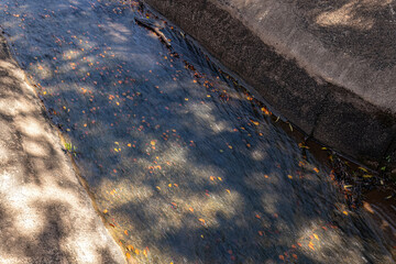 flowing water and yellow and orange leaves