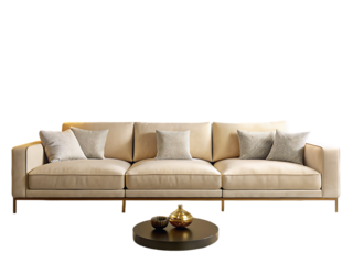 Elegant grey sofa with cushions